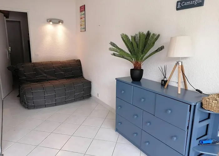 Apartment 1 4 Personnes En Rez De Chaussee Dans Avec Piscine Le Grau-du-Roi